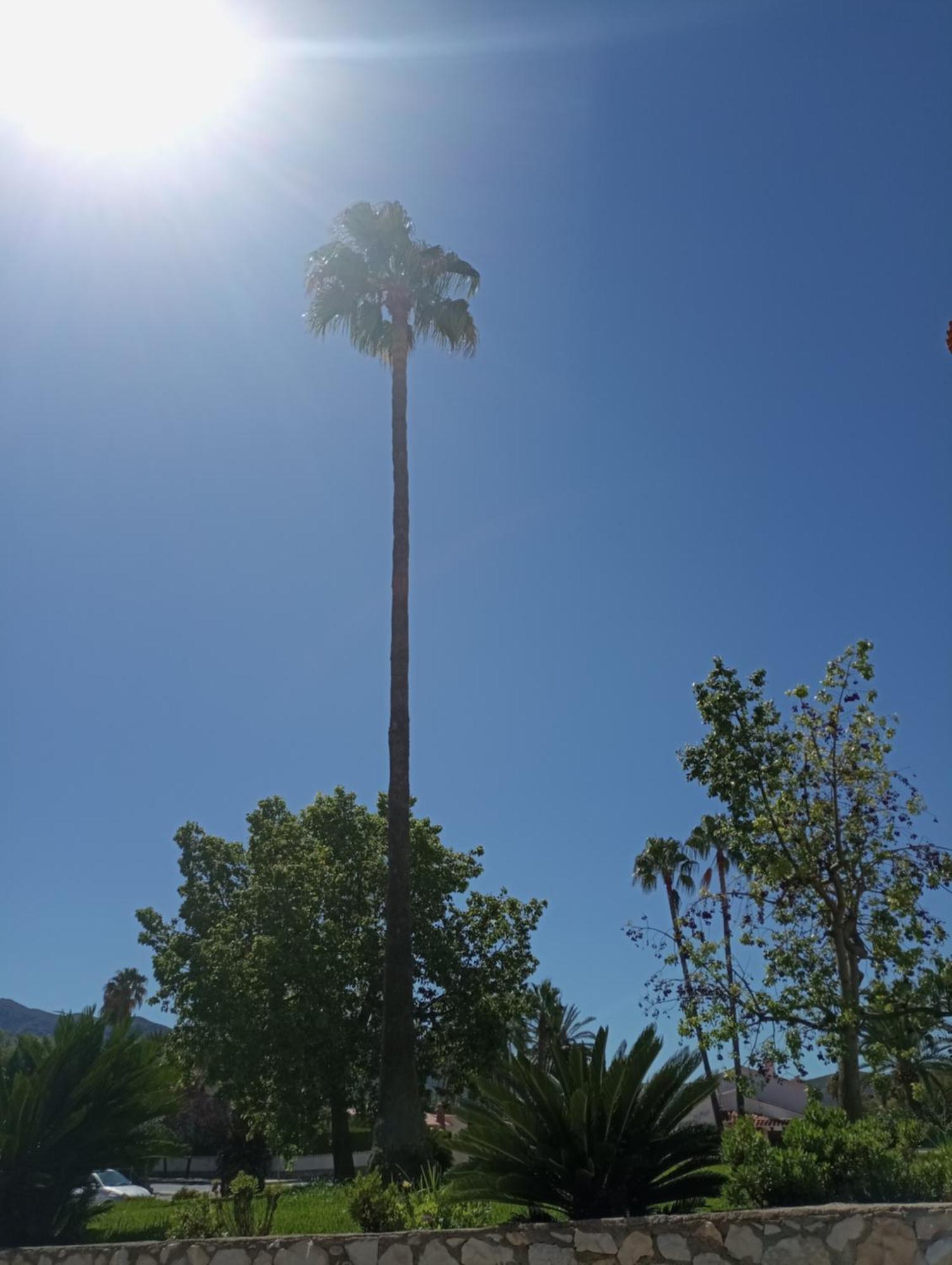 Apartamento Parchís con piscina Dénia Exterior foto